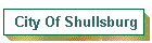 City Of Shullsburg